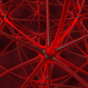 Multiple Sclerosis  related image